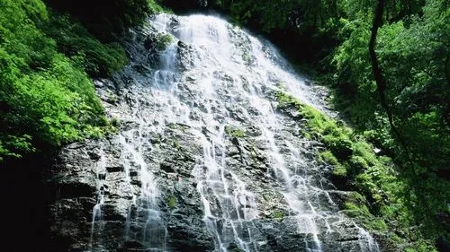 高精度电子新型